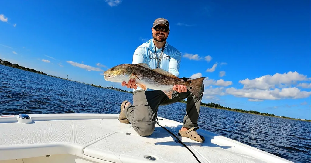 Feederhengels Winkel -Feederhengels Winkel 5